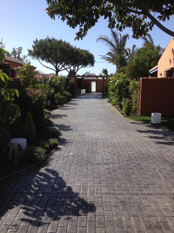 Estudio Con Jardincito Privado Barbacoa Y Piscina Cádiz Eksteriør billede